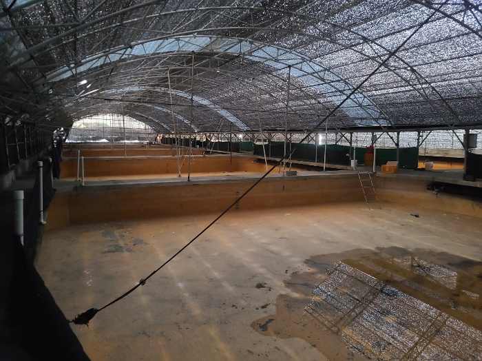 기계기구 및 구축물(1)