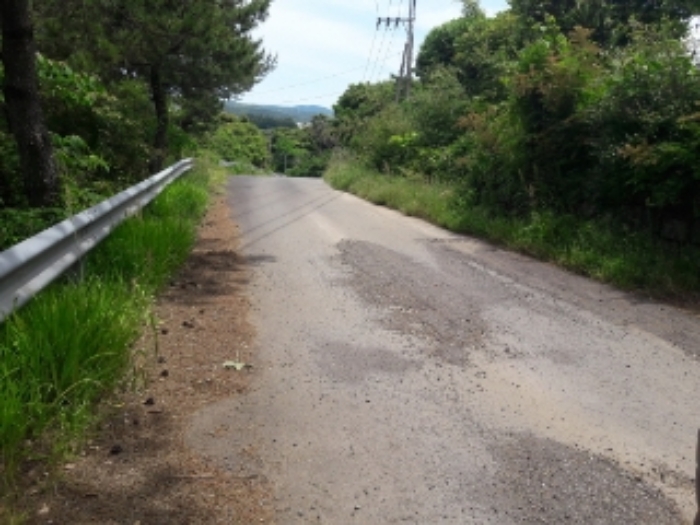 본건 부동산 인접 도로 전경