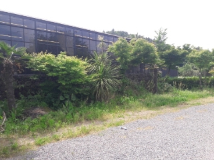 소재지3.(516로 574-23) 지상 제시건물(근린생활시설)