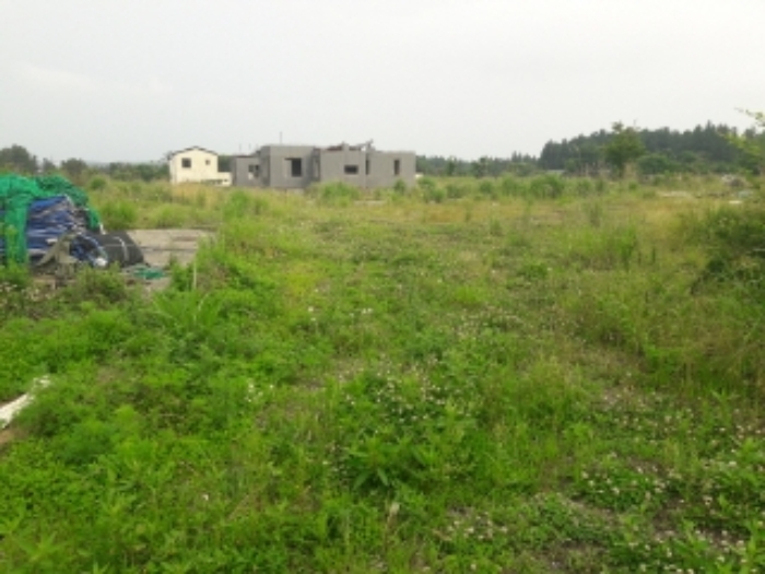 본건(교래리 608-14) 