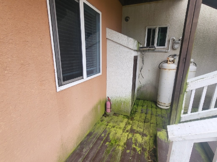 제시외 건물(ㄴ