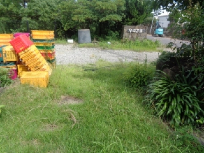 소재지2(금등리