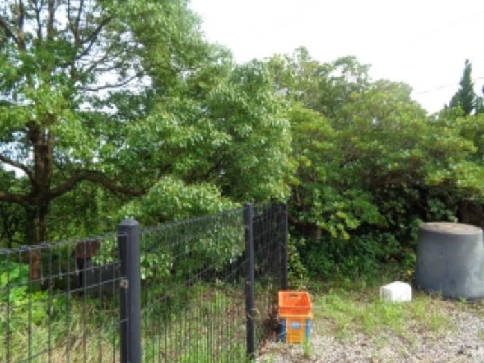 소재지2(금등리