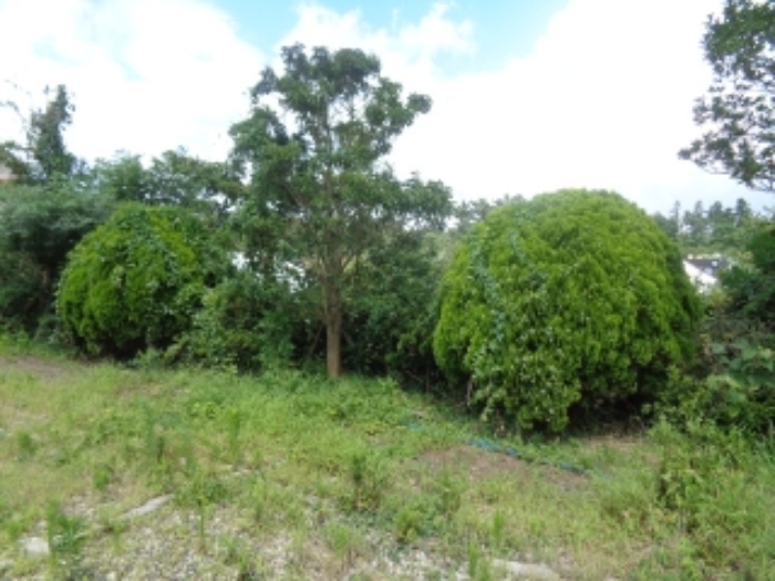 소재지3(금등리