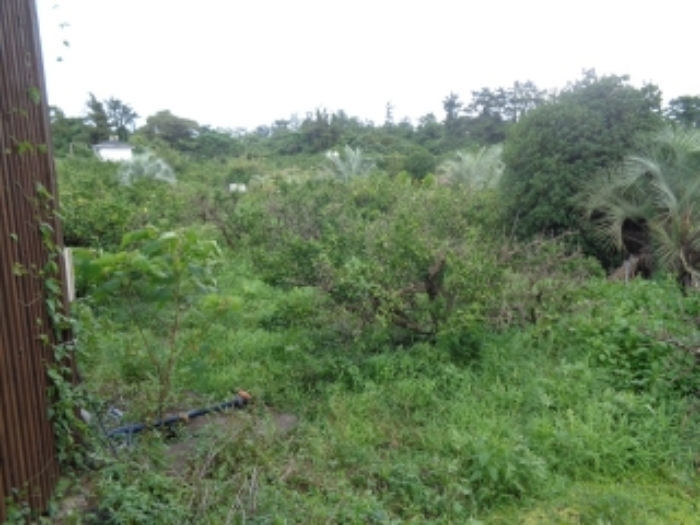 소재지4(금등리