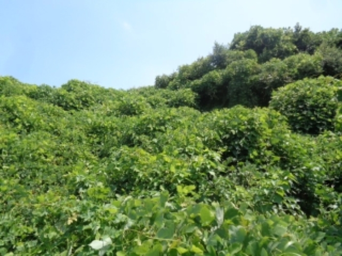 본건 소재지1(화북이동 3073-3) 전경 사진