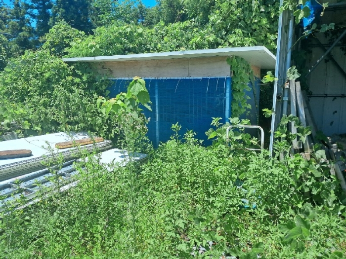 제시외건물(ㄷ)