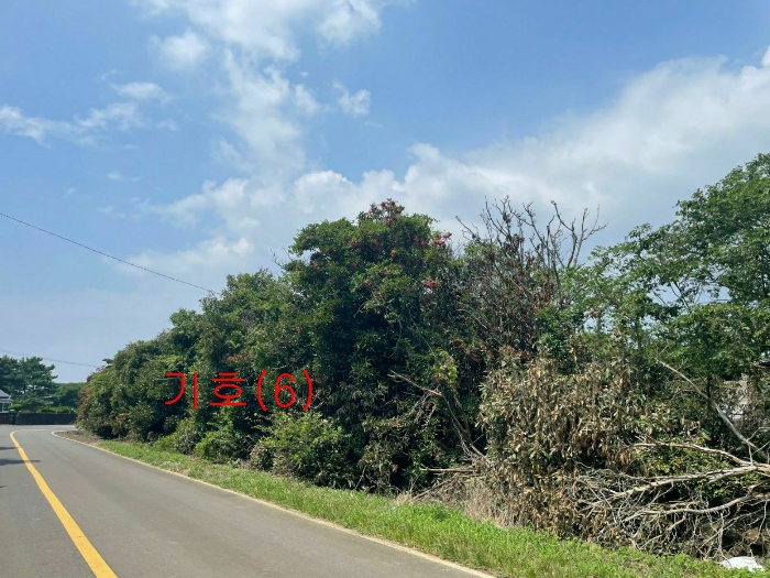 기호(6) 남서측 주변전경