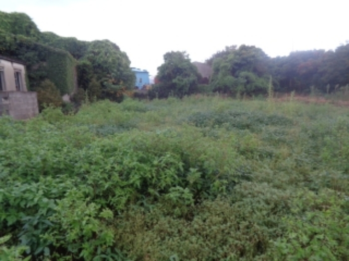 소재지3(두모리 648) 전경 사진