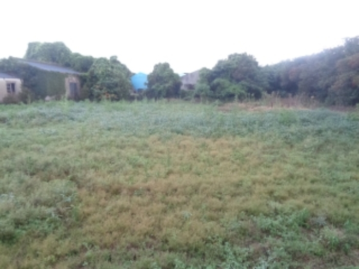 소재지3(두모리 648) 전경 사진