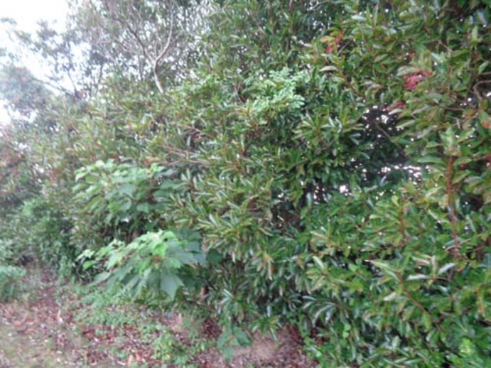 소재지3(두모리 648) 전경 사진