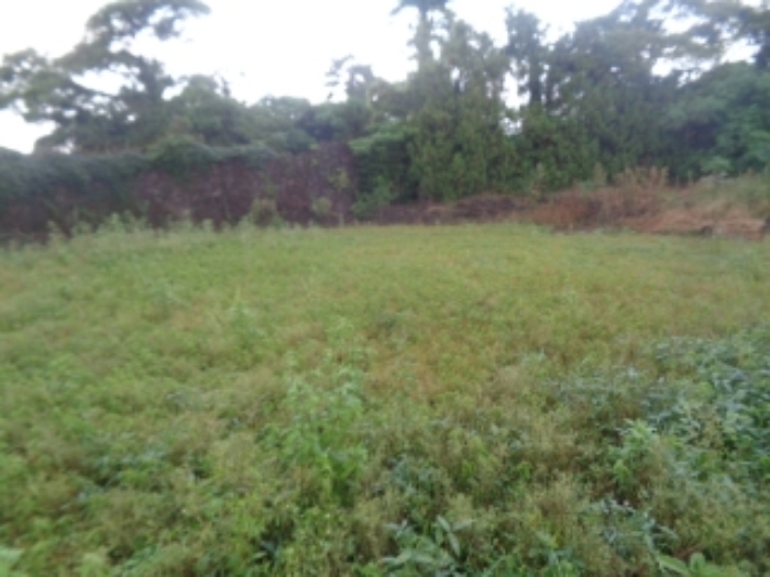 소재지4(두모리 647-2) 전경 사진