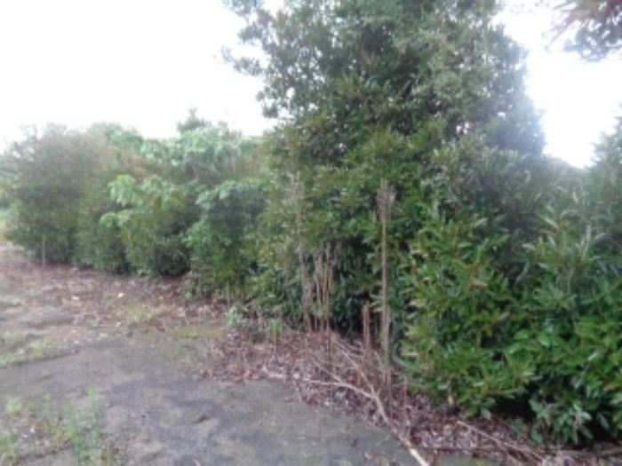 소재지4(두모리 647-2) 전경 사진