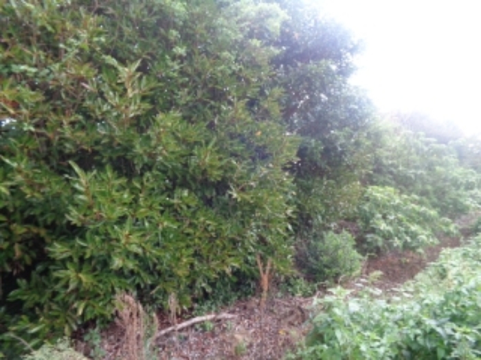 소재지4(두모리 647-2) 전경 사진