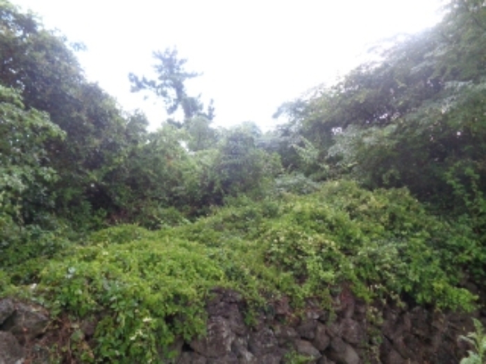 소재지5(두모리 645) 전경 사진