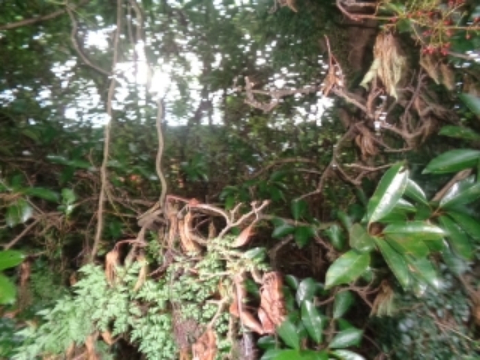 소재지6(두모리 649) 전경 사진