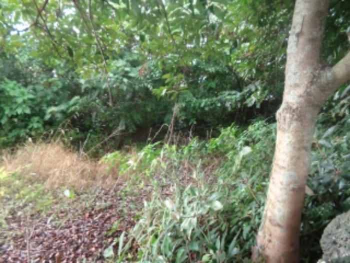 소재지6(두모리 649) 전경 사진