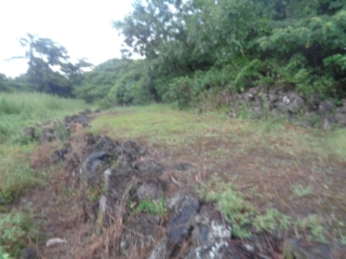 소재지7(두모리 655) 전경 사진