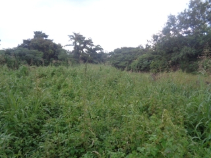 소재지7(두모리 655) 전경 사진