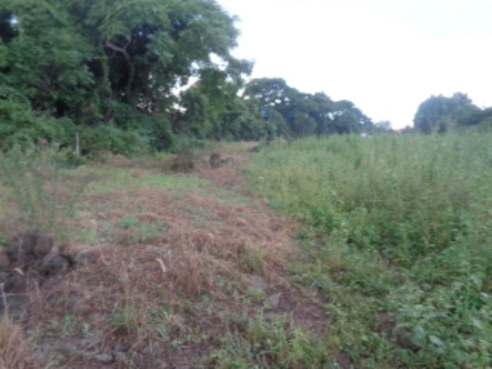 소재지7(두모리 655) 전경 사진