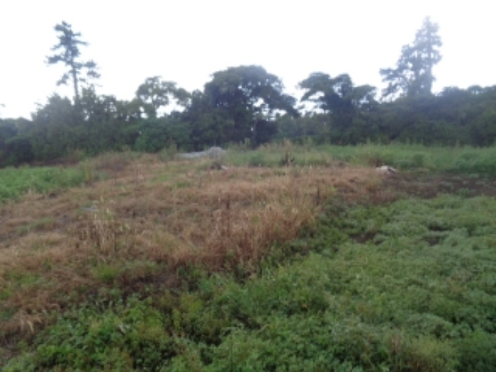 소재지8(두모리 647-1) 전경 사진