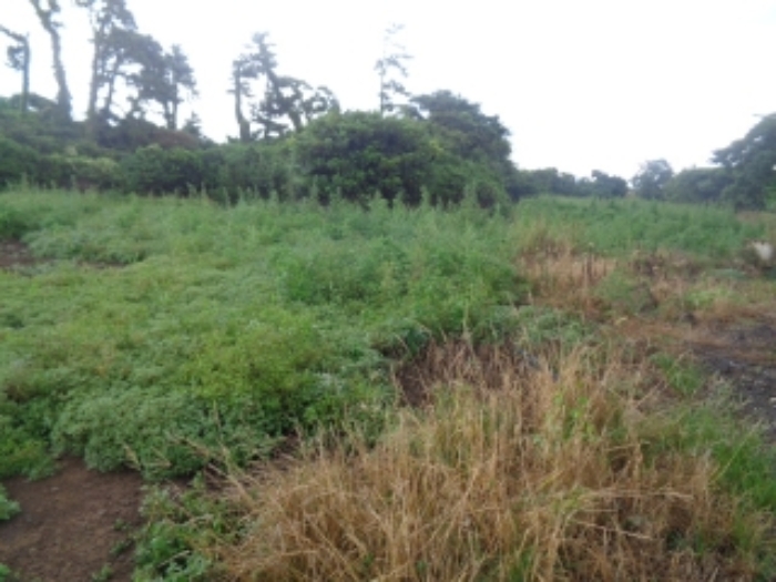 소재지8(두모리 647-1) 전경 사진