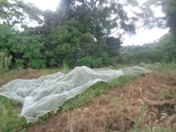 소재지8(두모리 647-1) 전경 사진