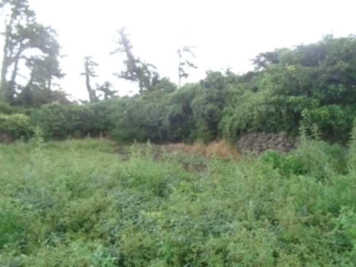 소재지8(두모리 647-1) 전경 사진