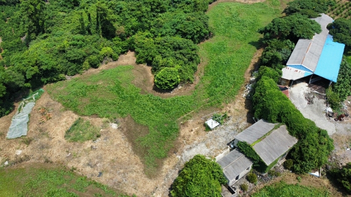 기호(5,7,8) 전경