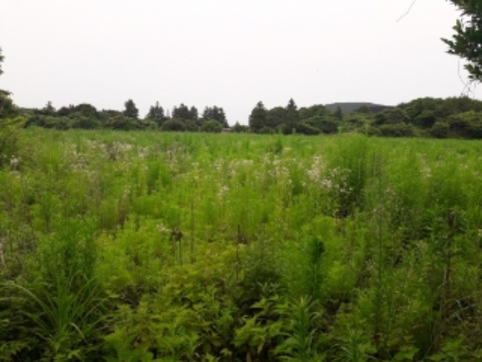 본건(성읍리 2868) 