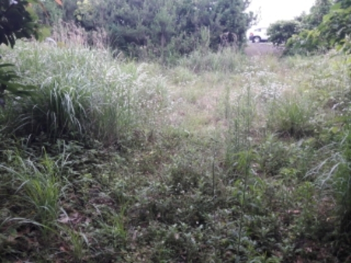 본건(성읍리 2868) 