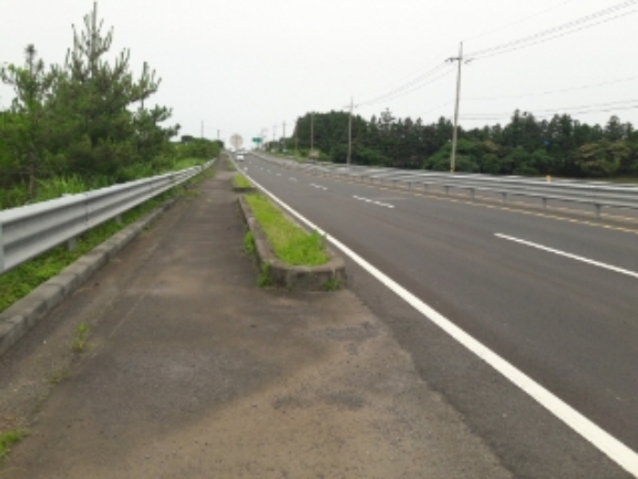 본건(성읍리 2868) 인접 도로 전경