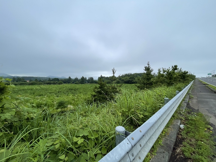 본건 전경
(촬영위치 : 본건 남서측)