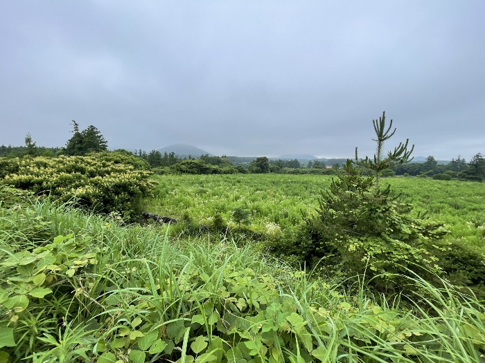 본건 전경
(촬영위치 : 본건 남동측)