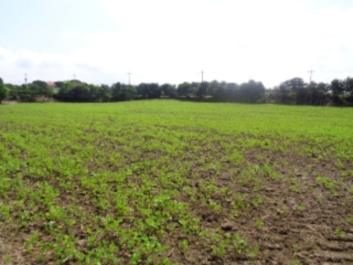 소재지1(동광리 848) 전경 사진