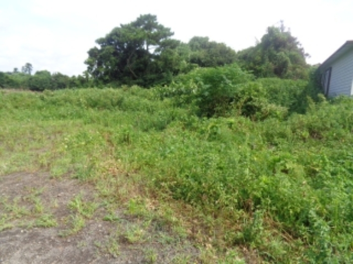 소재지1(사계리 1102-2) 전경 사진