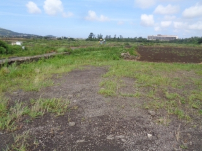 소재지1(사계리 1102-2) 전경 사진