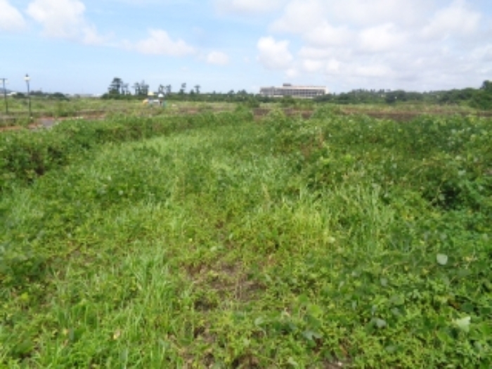 소재지2(사계리 1129-1) 전경 사진