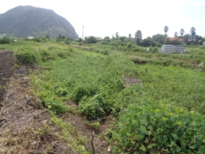 소재지2(사계리 1129-1) 전경 사진