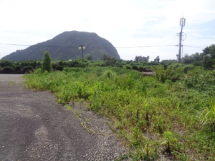 소재지3(사계리 1104-2) 전경 사진