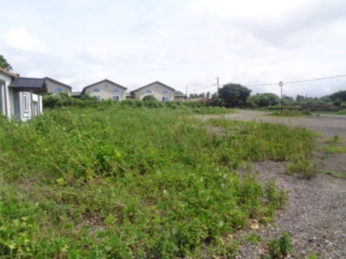 소재지3(사계리 1104-2) 전경 사진