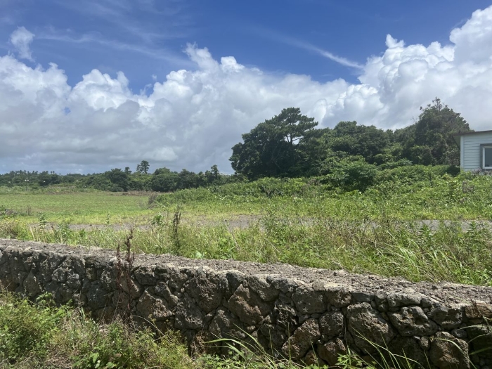 일련번호 1) 전경