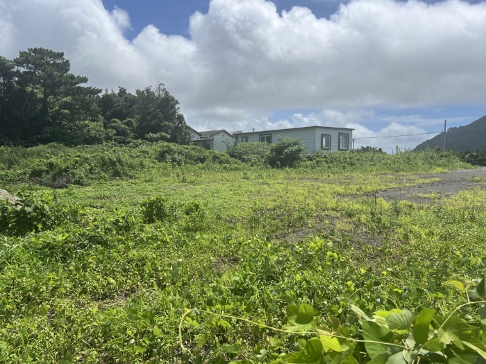 일련번호 1) 전경