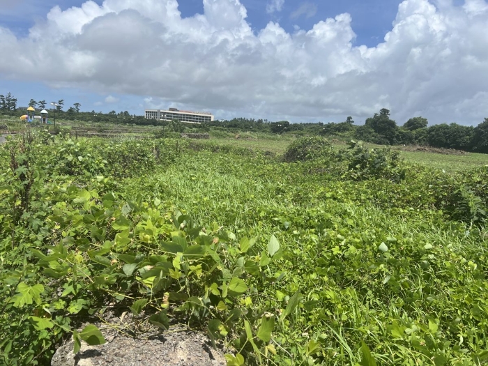 일련번호 2) 전경