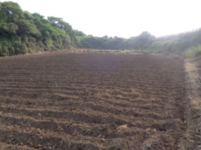 소재지2(곽지리 2431) 전경 사진