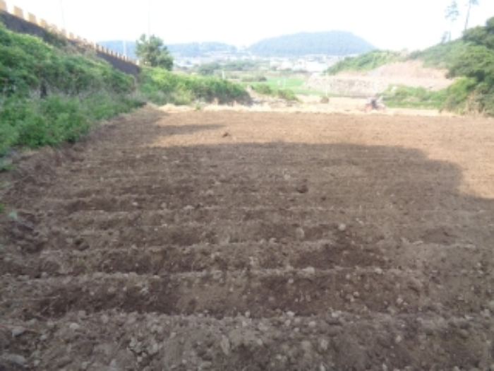 소재지2(곽지리 2431) 전경 사진