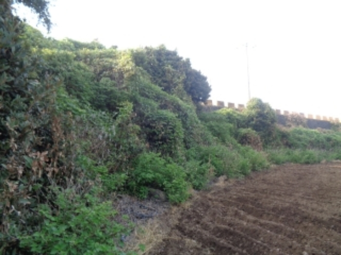 소재지3(곽지리 2435) 전경 사진