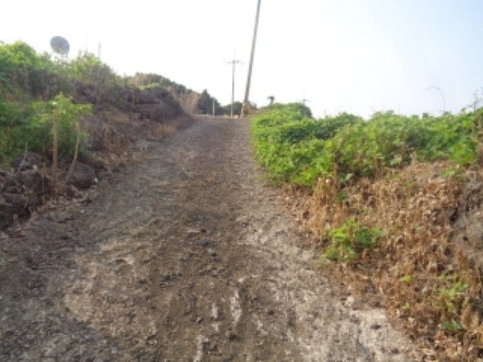 소재지4(곽지리 2433-1) 전경 사진