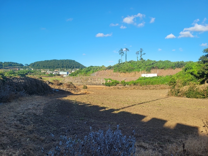 기호 (1,2,4) 전경