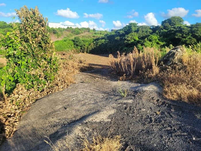 기호 (1,2,4) 도로 부분